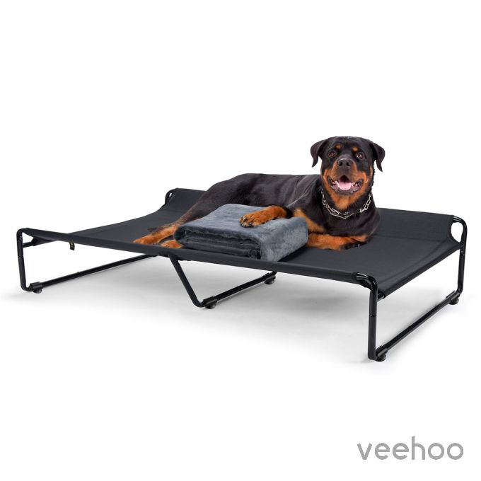 Veehoo Back-rest Pet Bed with a Blanket