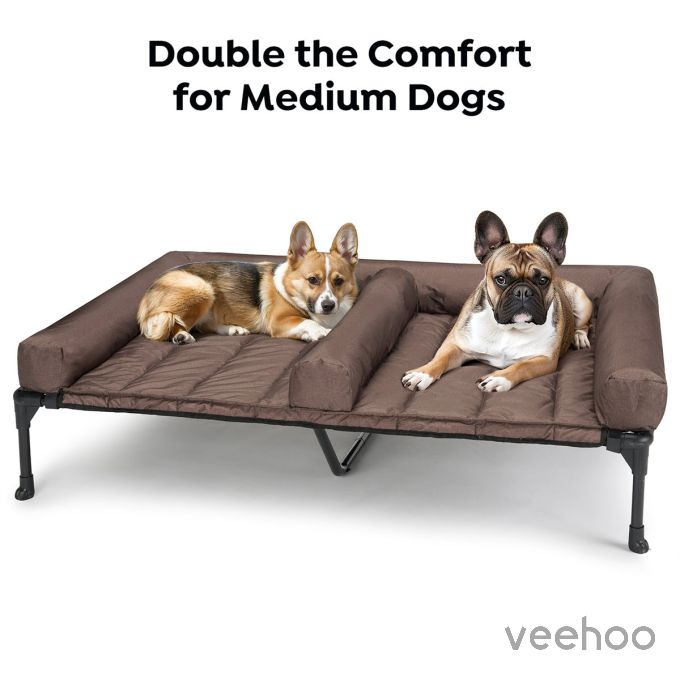 Veehoo Elevated Dog Bed for Double Dogs