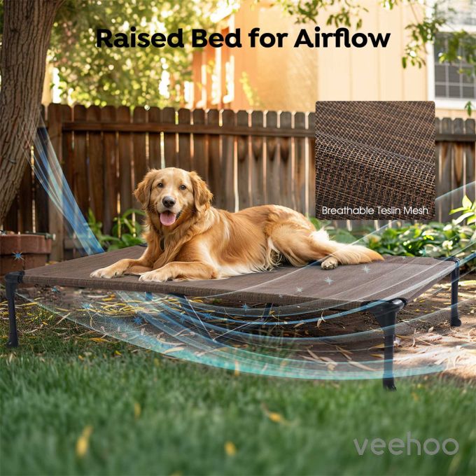 Veehoo Elevated Dog Bed for Double Dogs