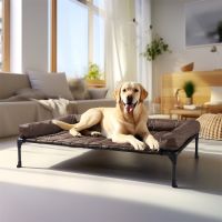 Veehoo Elevated Dog Bed with Bolster Mat