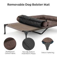 Veehoo Elevated Dog Bed for Double Dogs