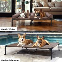 Veehoo Elevated Dog Bed for Double Dogs